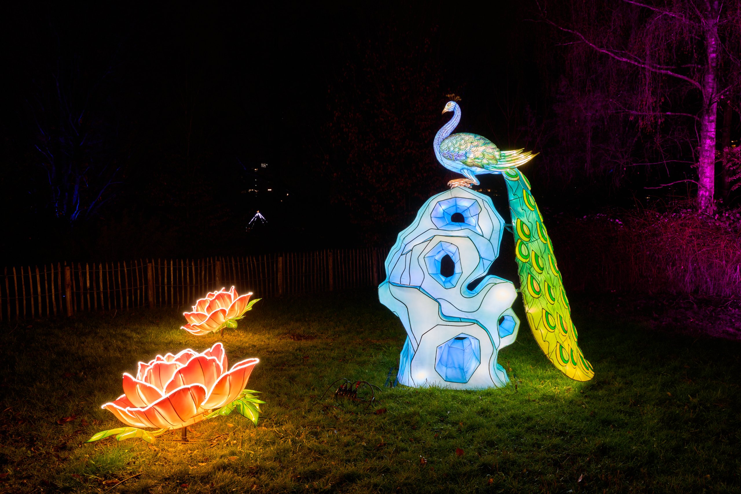 2026 02 03 Parkleuchten 0014